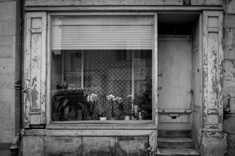 2013 03 26 Gray DSCF0816